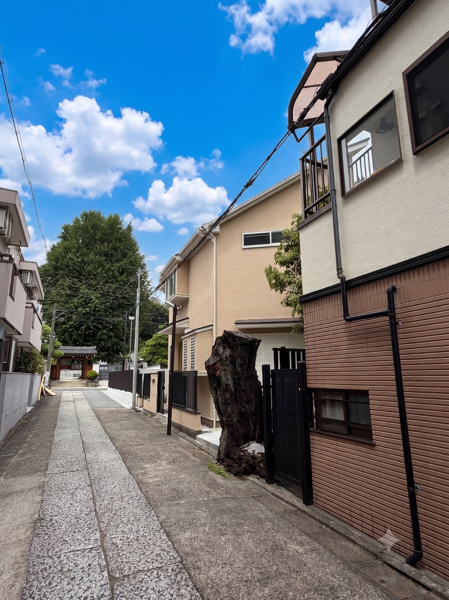 【前面道路含む現地写真】