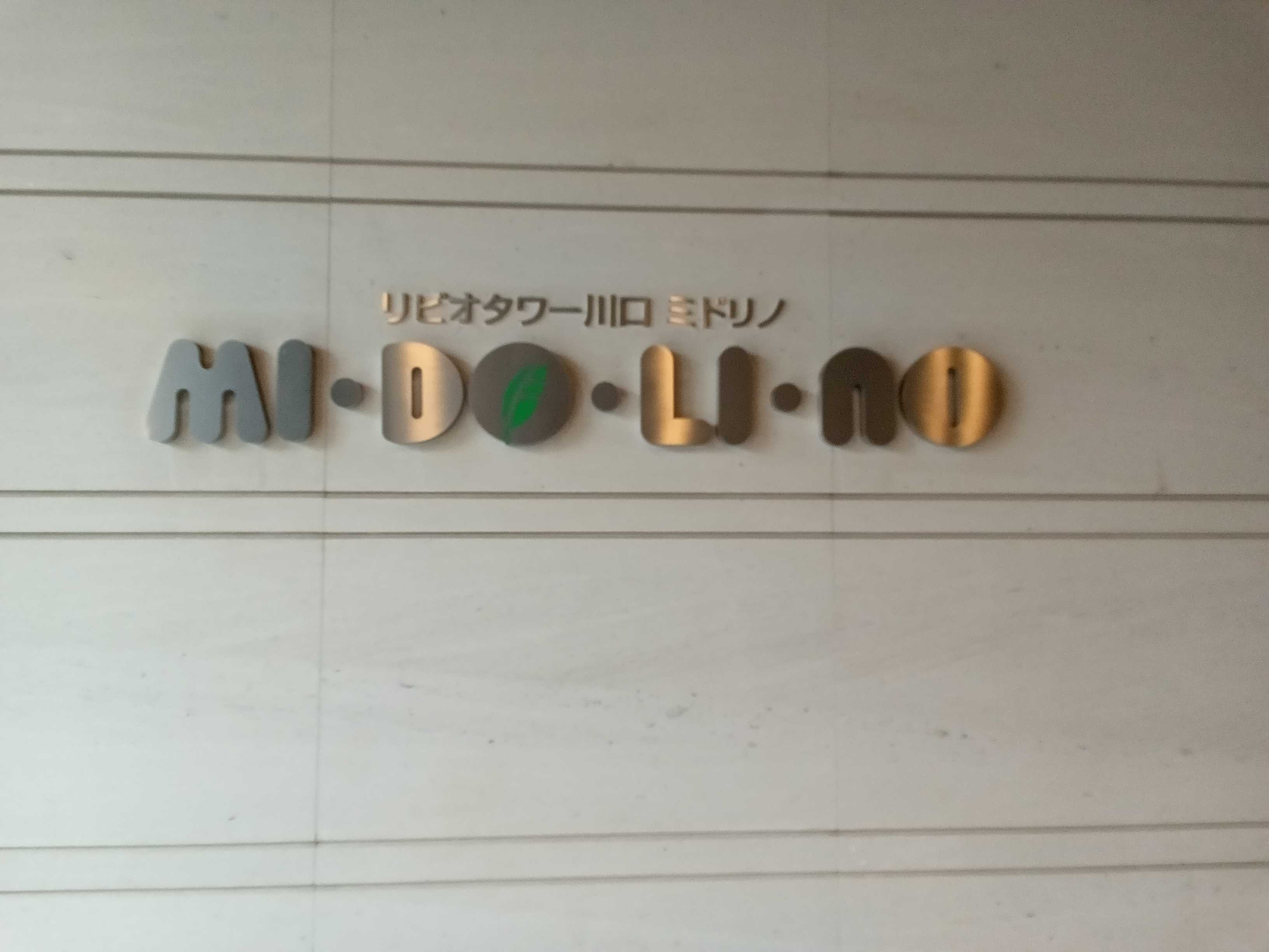 リビオタワー川口ミドリノのその他