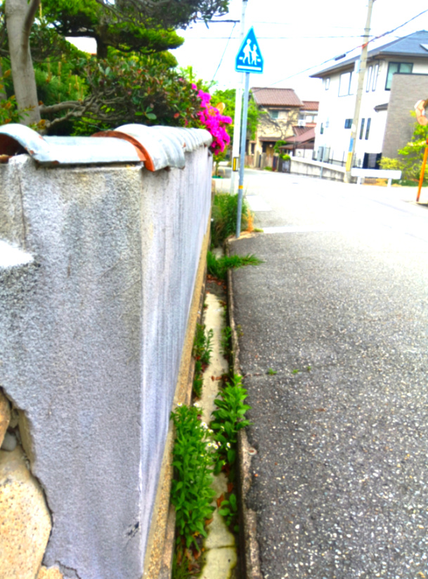 野上４丁目　土地の前面道路含む現地写真