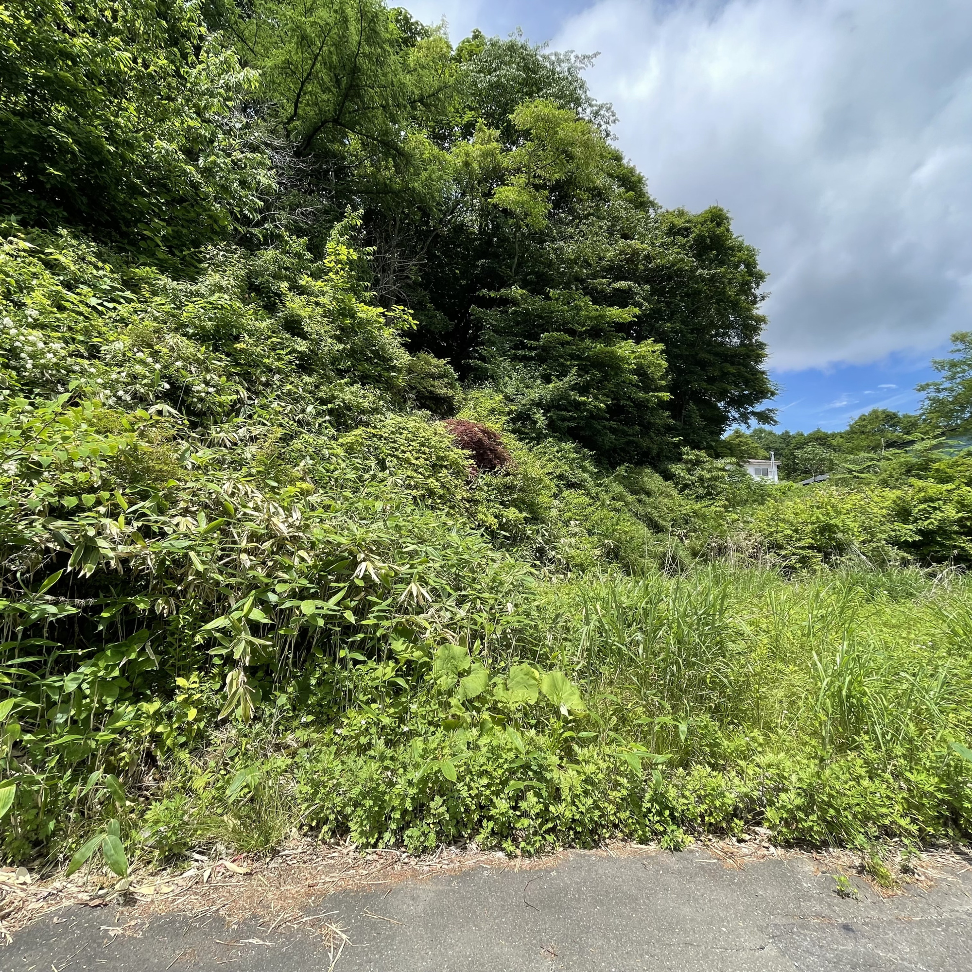 登別市片倉町1丁目16-1　土地の土地図