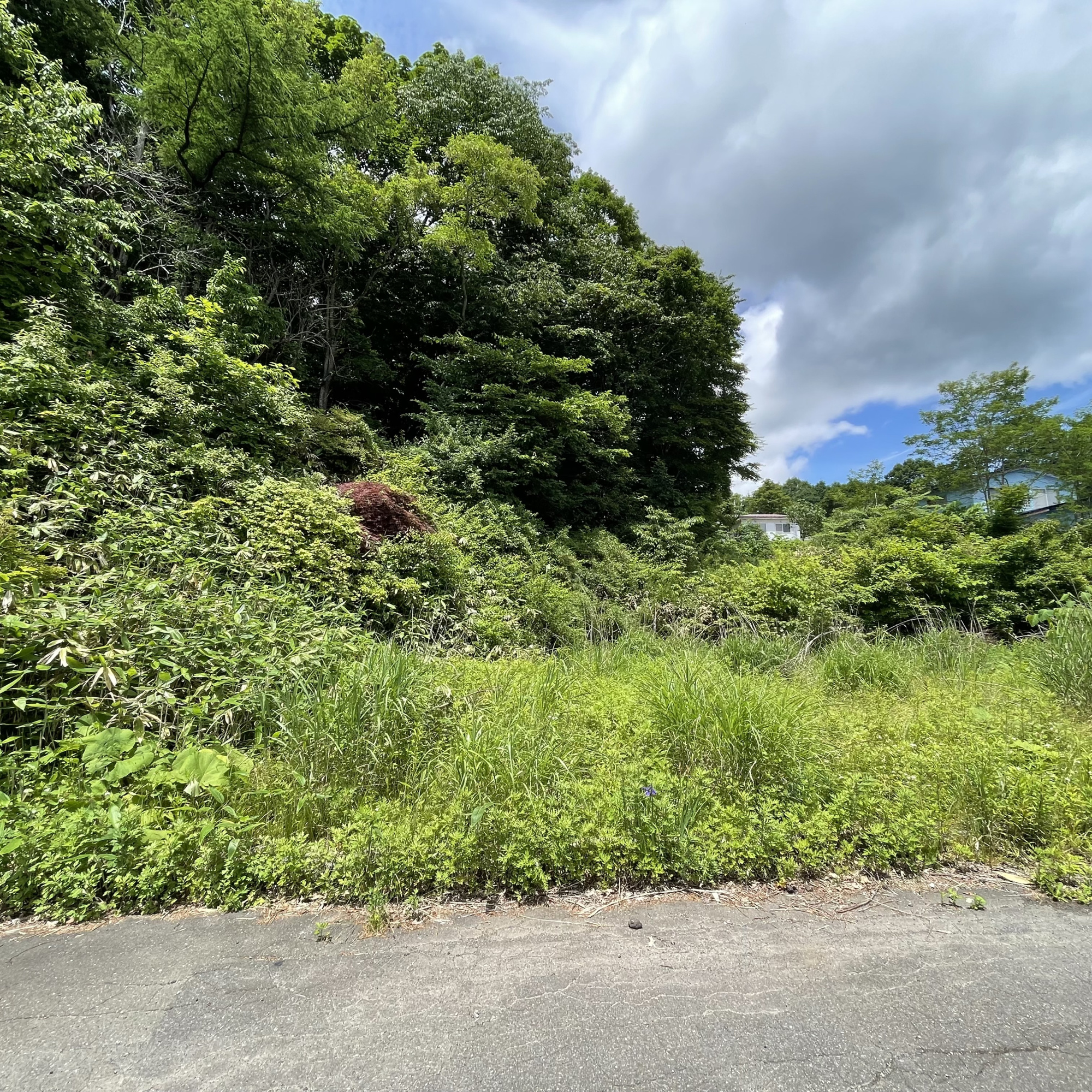 登別市片倉町1丁目16-1　土地の外観
