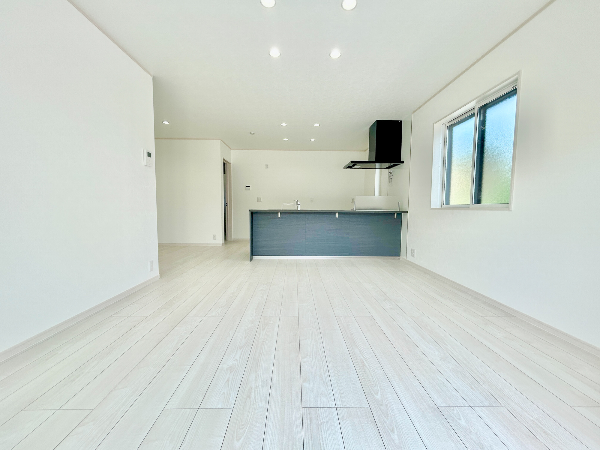 前橋市天川町　新築住宅全1棟の居間・リビング|同社施工例