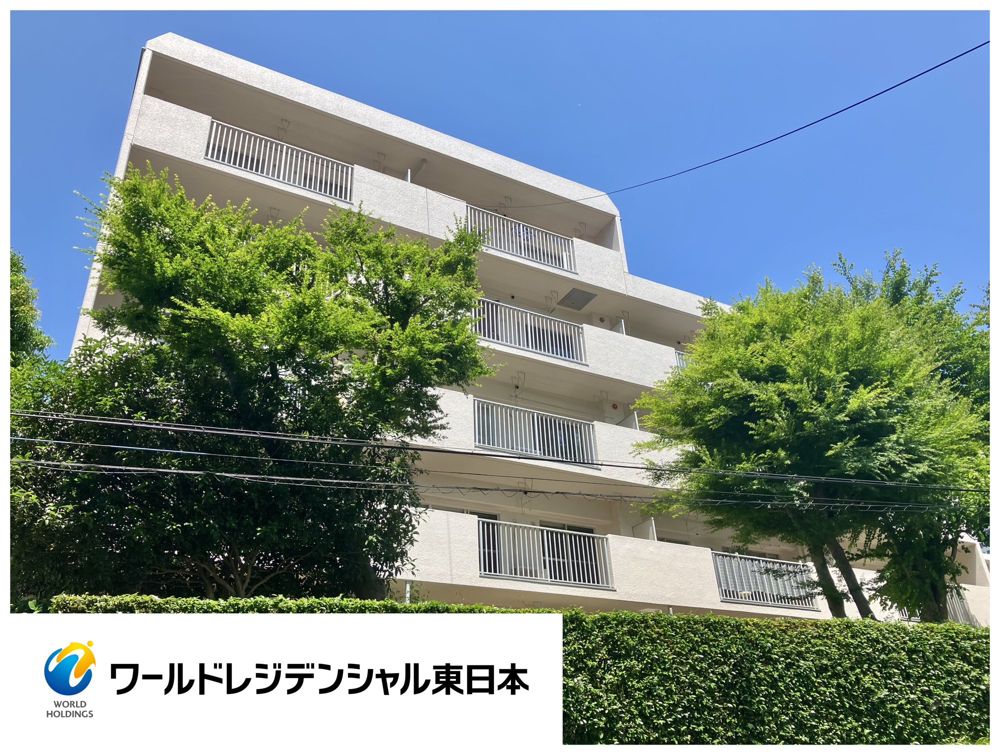  ＼15.7帖の広々LDK／駐車場あり♪コープ野村花壇Ｃ棟の外観|2026年6月撮影。堂々とした佇まいの外観です。周囲の木々との調和が美しい住まいです！