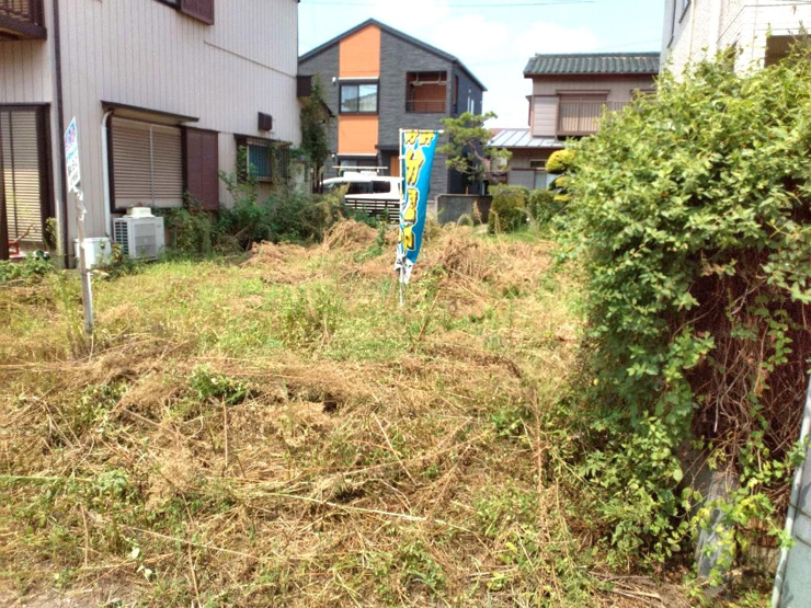 南から
