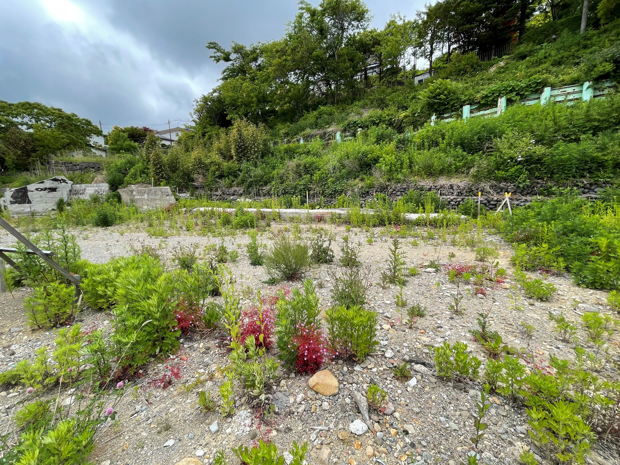 室蘭市本輪西町2丁目227-1　土地の土地図