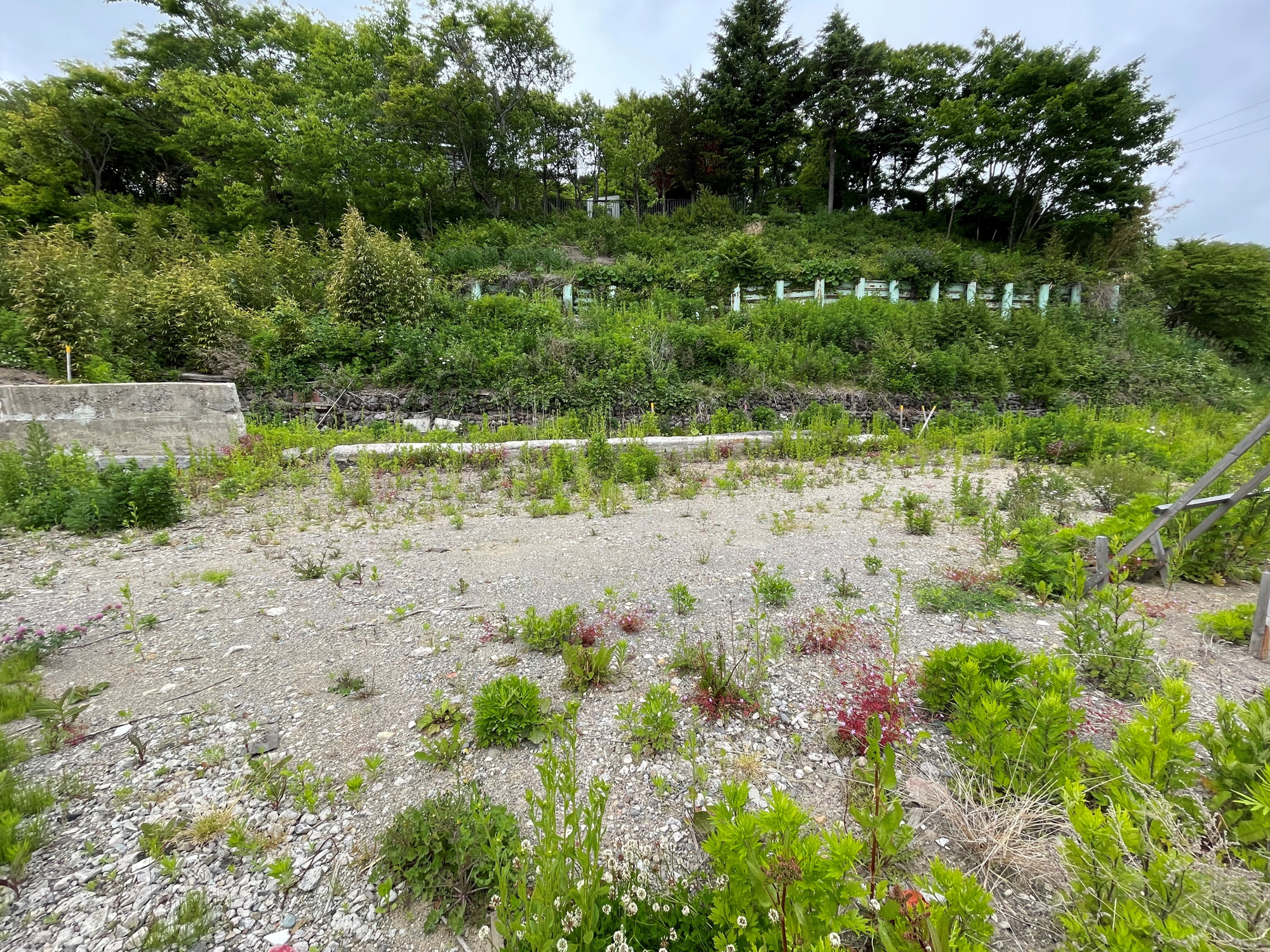 室蘭市本輪西町2丁目227-1　土地の土地図