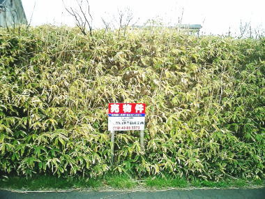 室蘭市八丁平５丁目17-2　土地の土地図