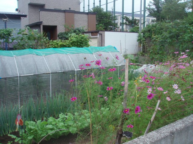 室蘭市増市町2丁目189-57　土地の土地図