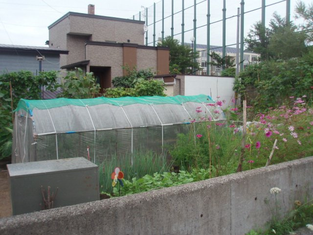 室蘭市増市町2丁目189-57　土地の周辺