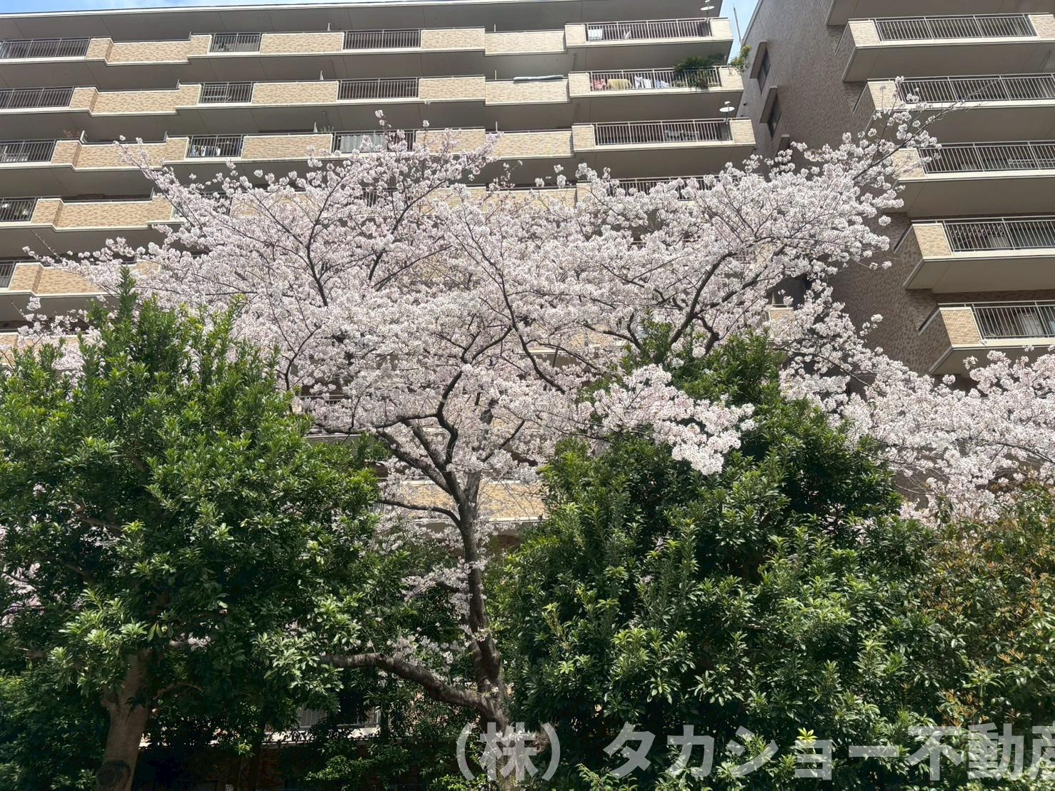 ヴィルフォーレ稲毛　6番館のその他共用部分