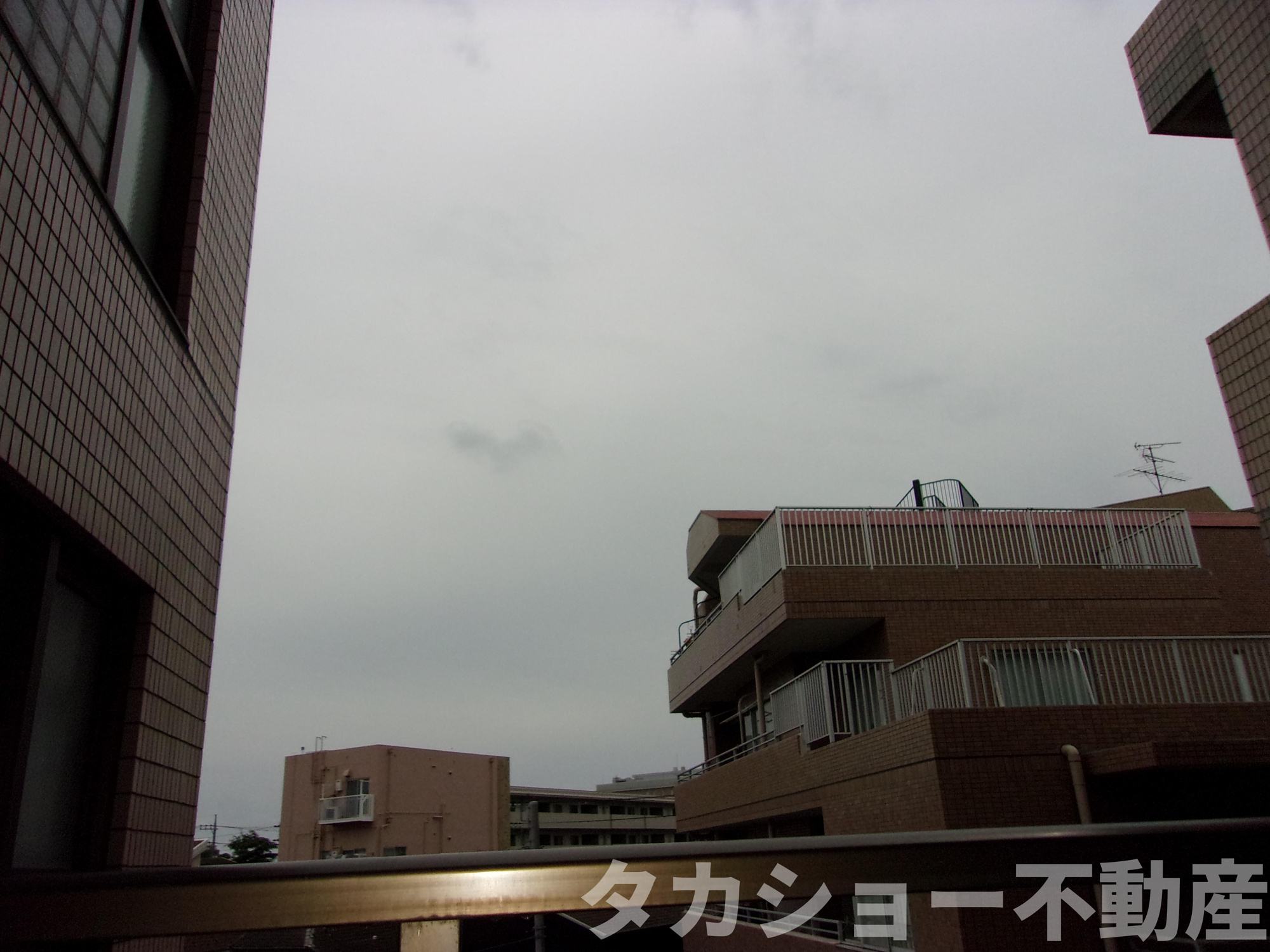 コスモ蘇我の展望
