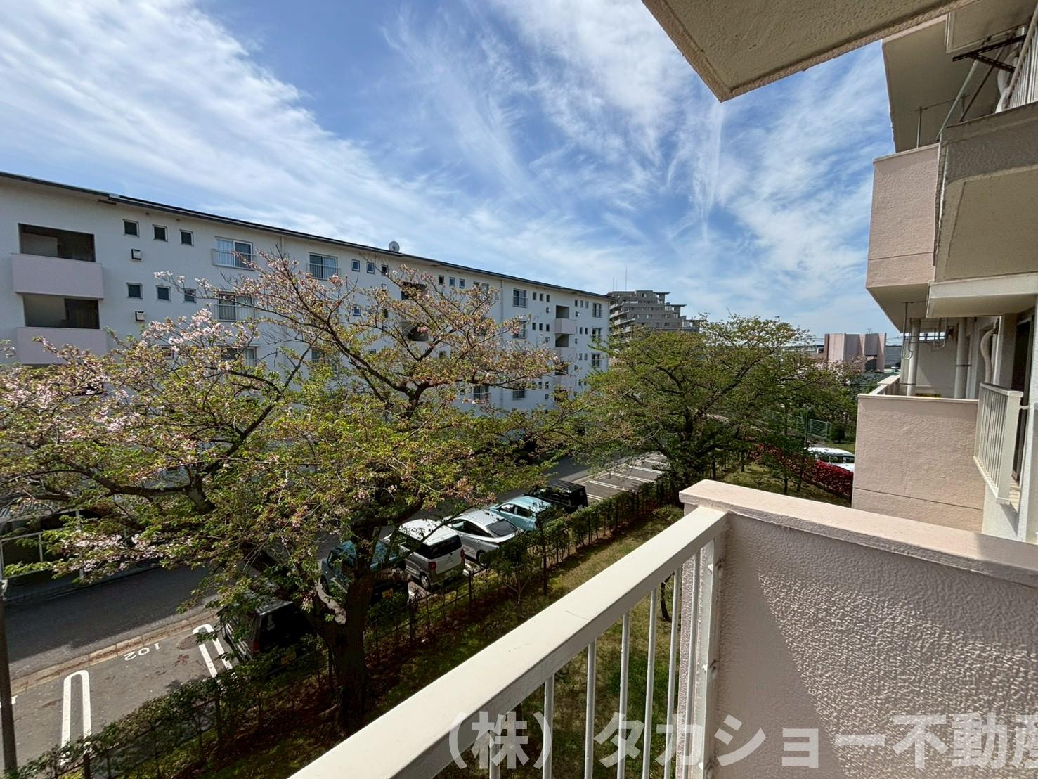 高洲二丁目団地　8号棟の展望