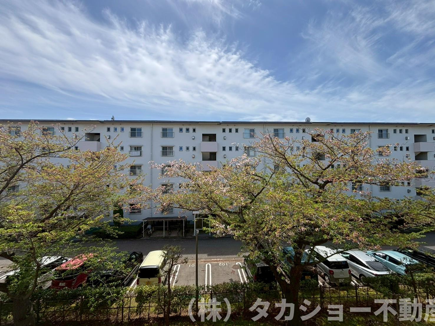 高洲二丁目団地　8号棟の展望