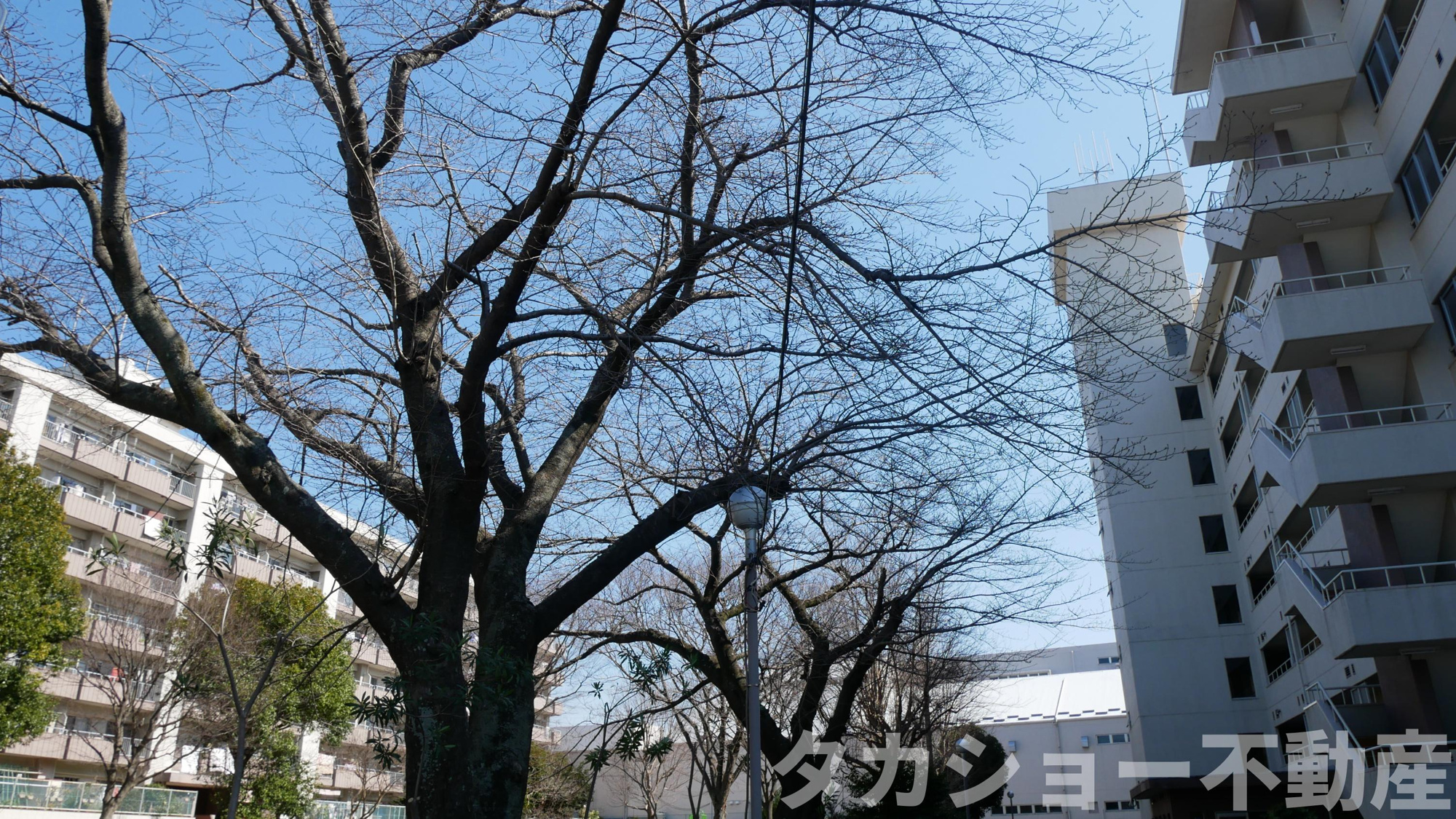 都町リハイムA棟の周辺