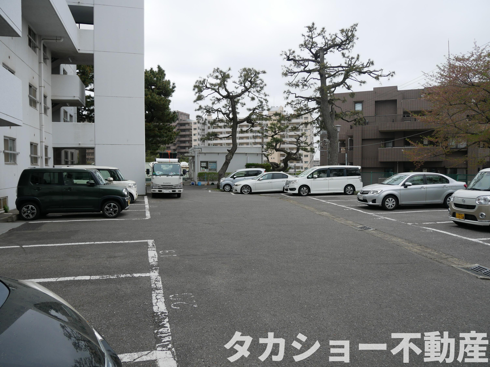 ドルフ稲毛の駐車場|車をお持ちの方に嬉しい駐車場付きの物件です