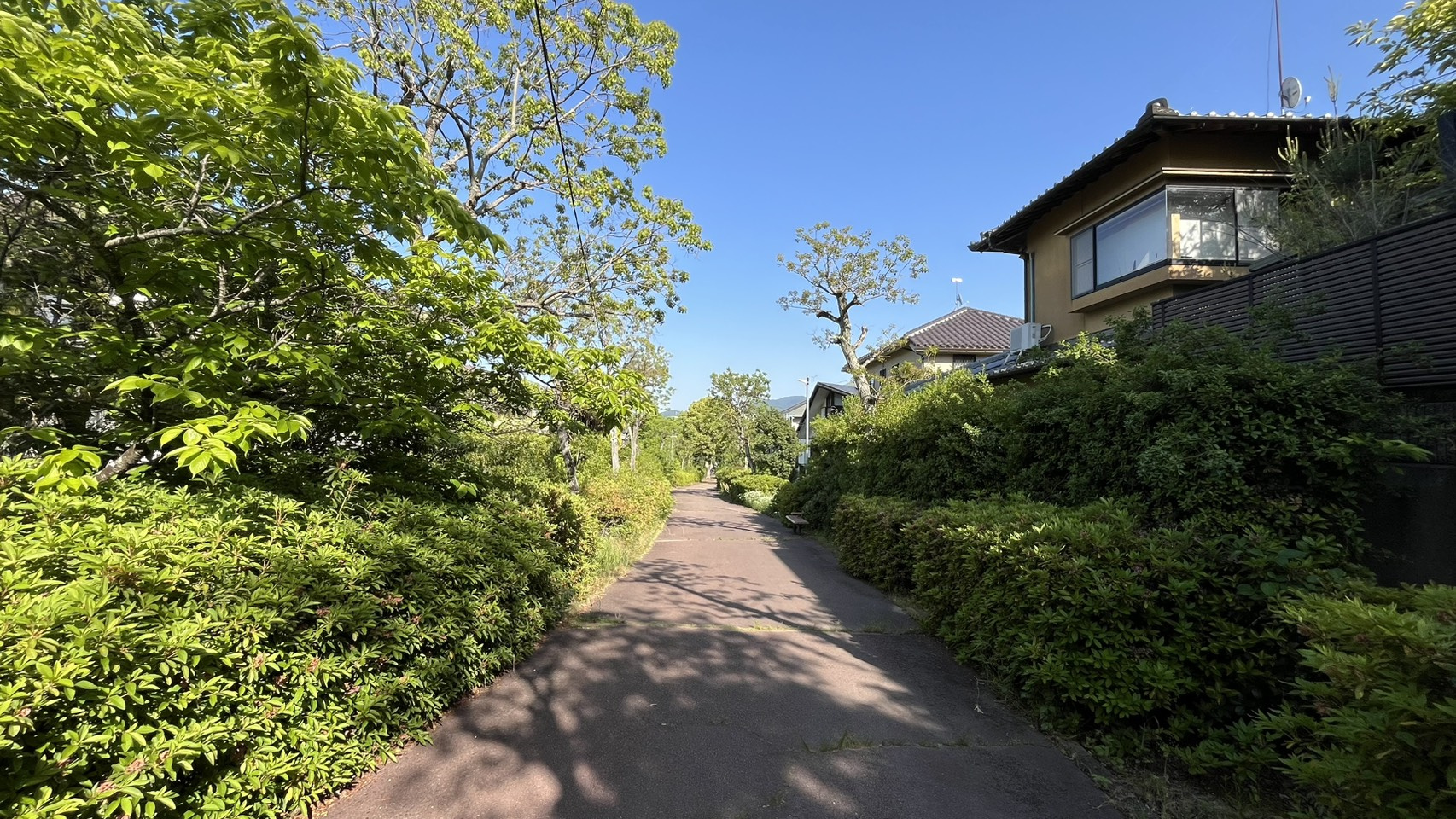 神戸市北区藤原台北町２丁目　戸建住宅の前面道路含む現地写真