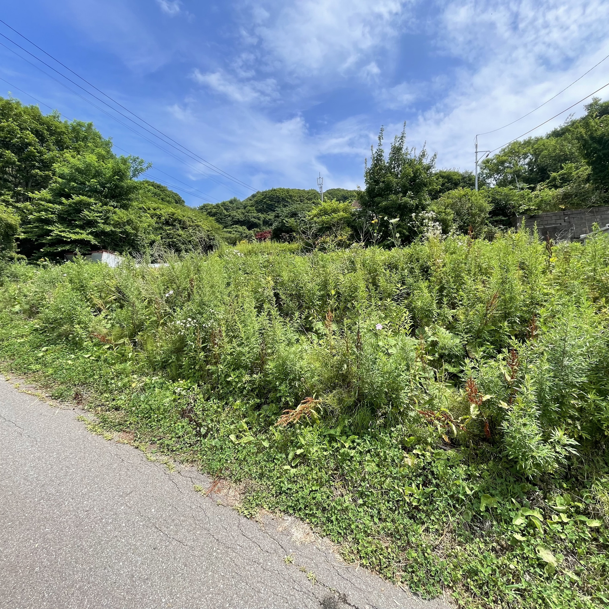 室蘭市御前水町2丁目19-42　土地の外観