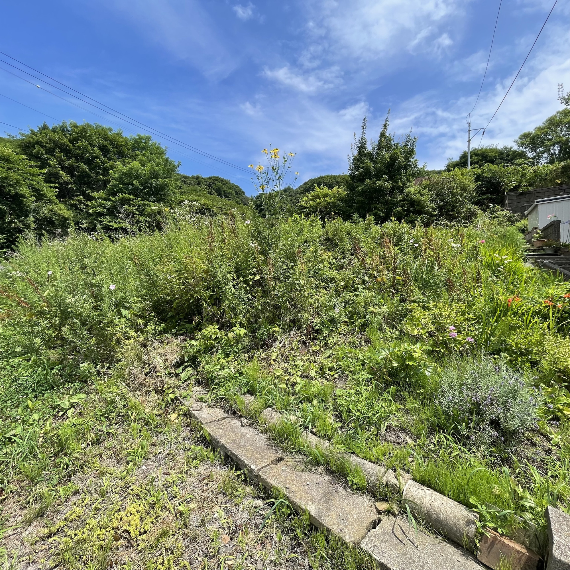 室蘭市御前水町2丁目19-42　土地の外観