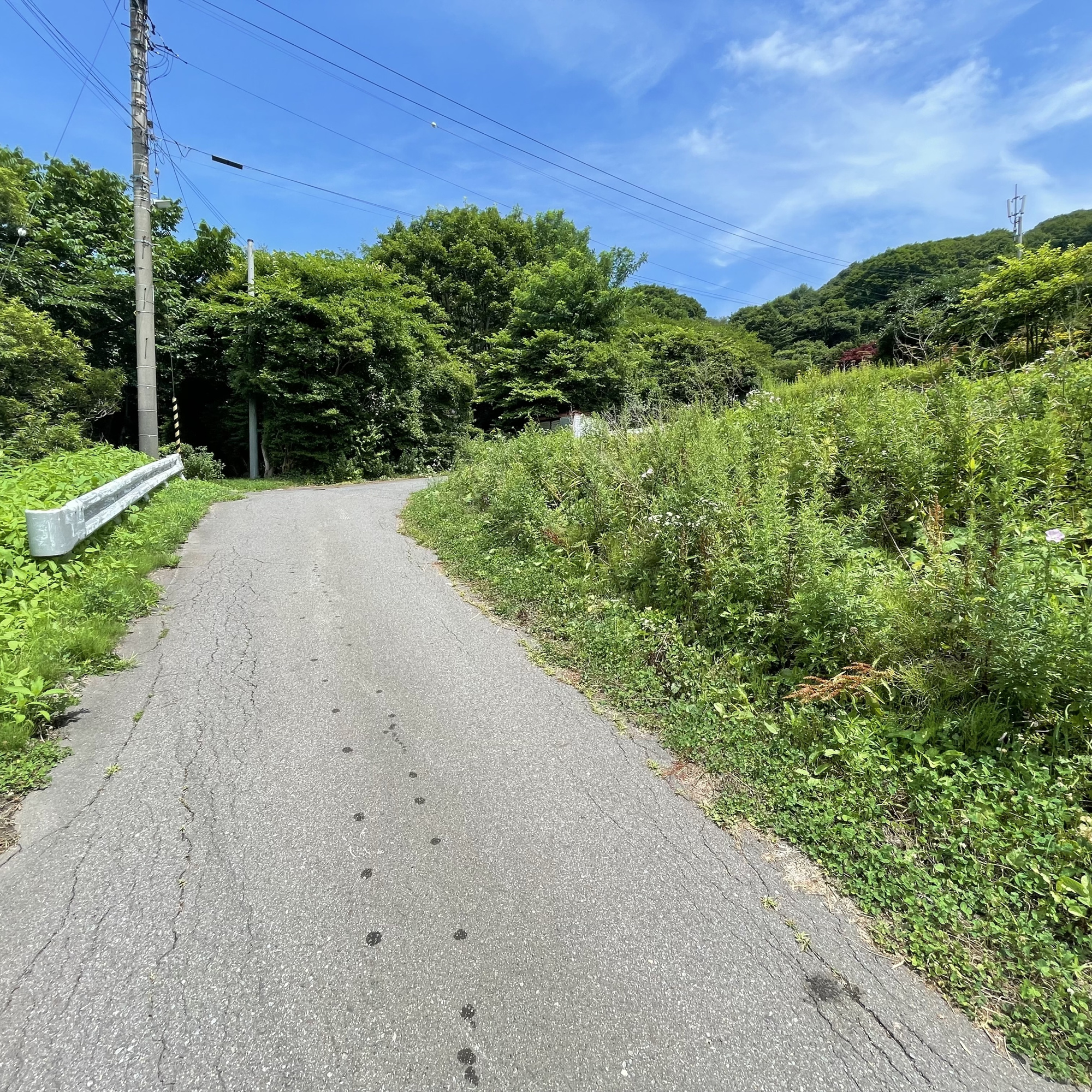 室蘭市御前水町2丁目19-42　土地のその他