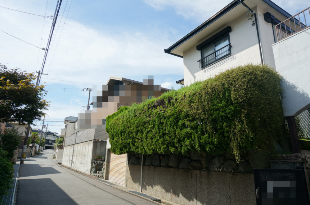 緑が丘2丁目土地の外観