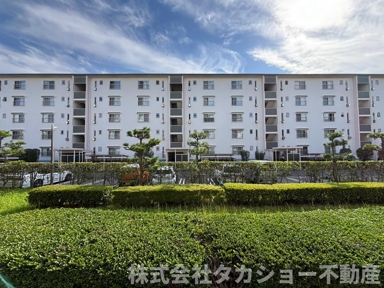 高洲二丁目住宅7-6号棟の展望