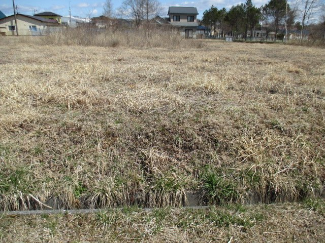 白老町石山41-382　土地の土地図