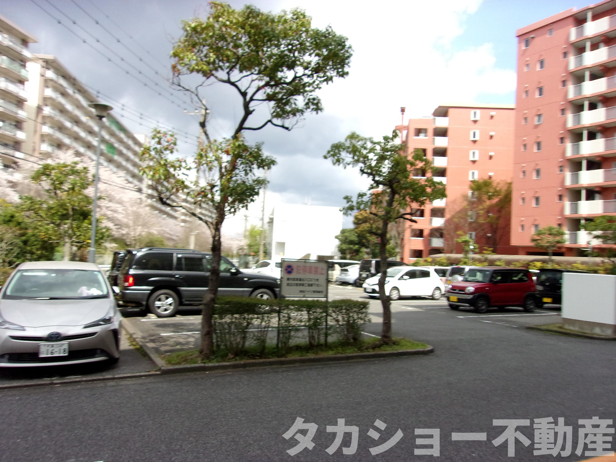 高品ハイツ2号棟の駐車場|駐車スペースもあります
