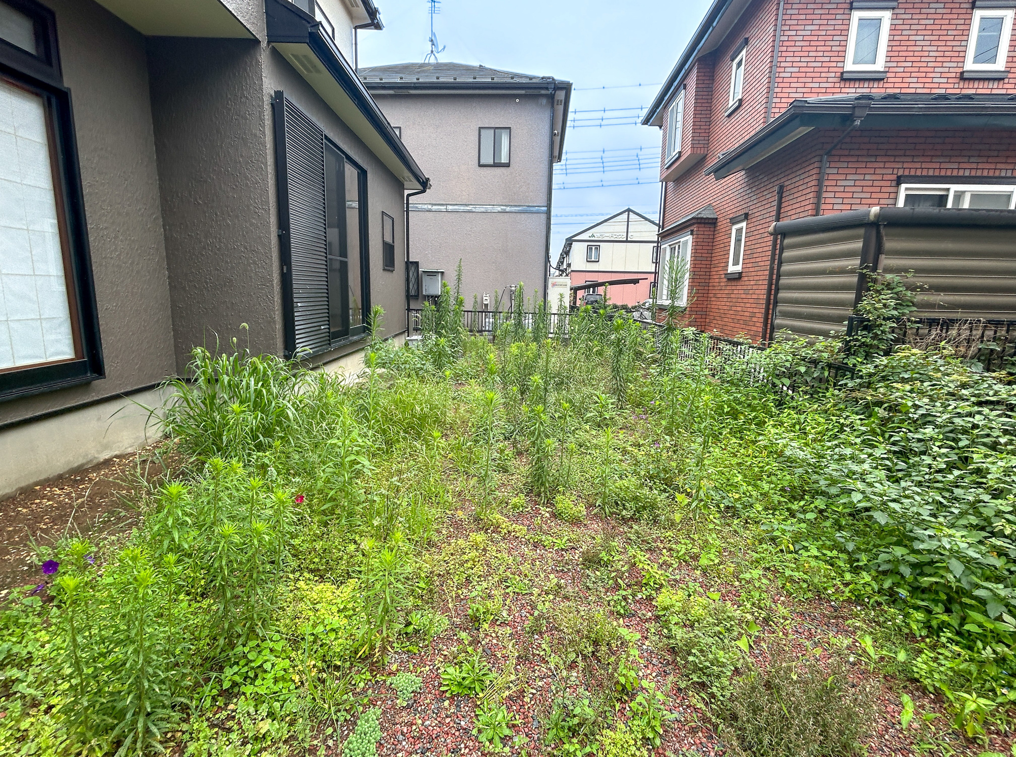 伊勢崎市連取町　中古物件の庭|お庭での家庭菜園・ガーデニングを通じて、お子様と一緒に育てていくと、思い出も増えていきそうですね♪