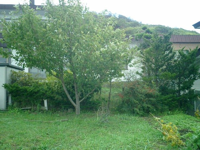 室蘭市母恋南町2丁目56-18　土地の土地図
