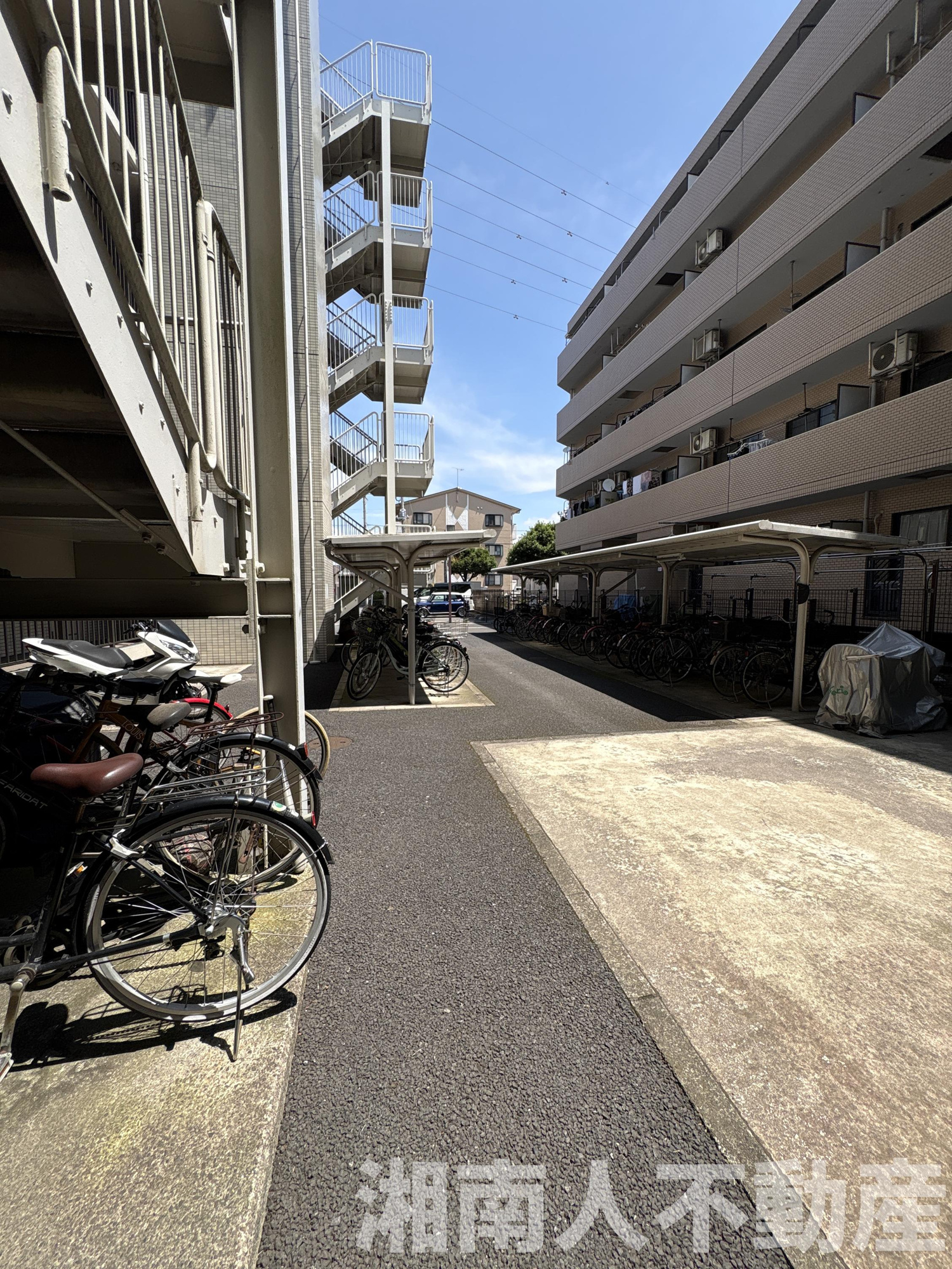 クリオ平塚弐番館の駐輪場