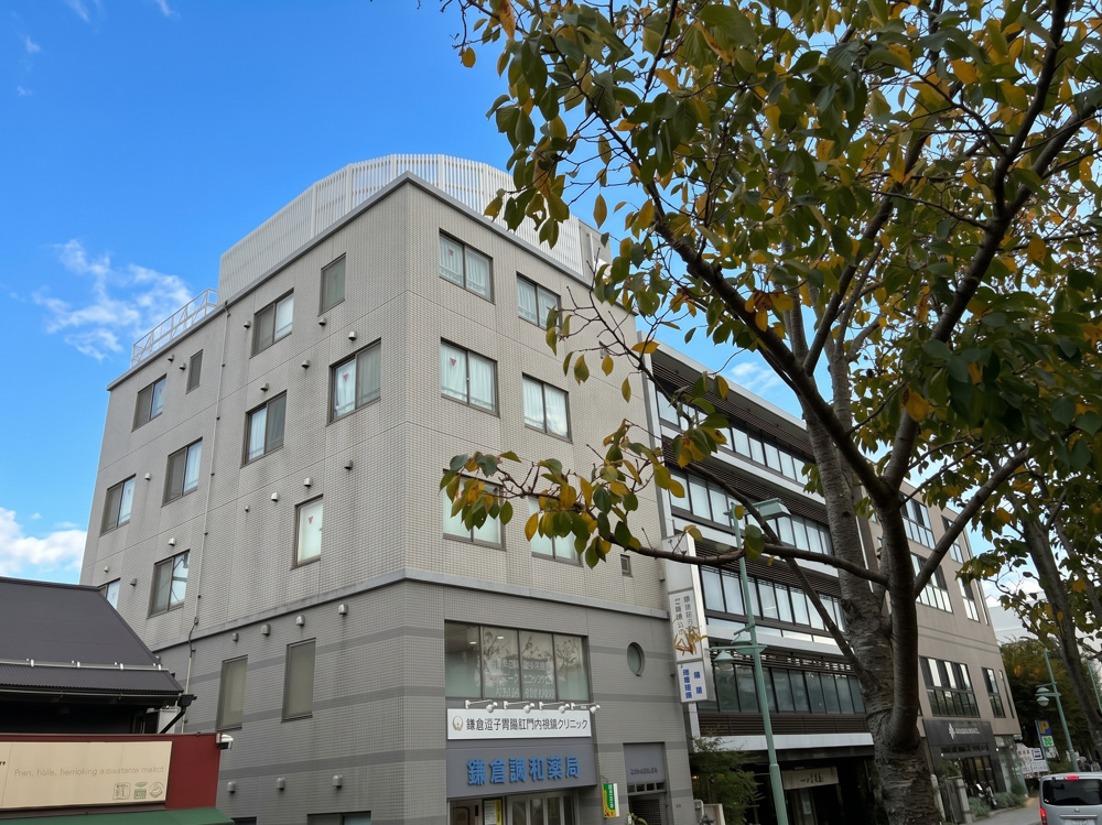 【鎌倉】若宮大路の信頼の拠点 5階の画像