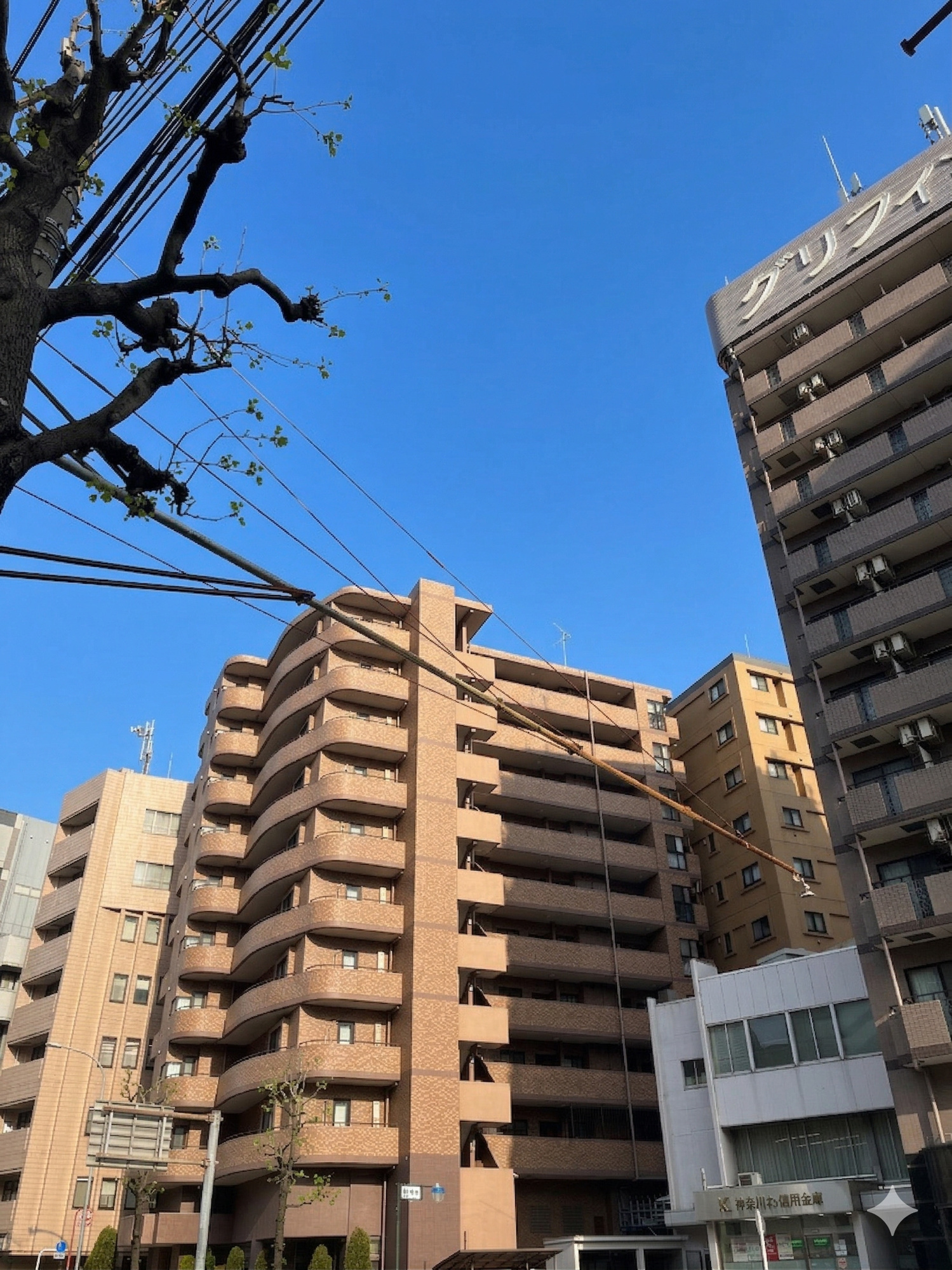 【外観】