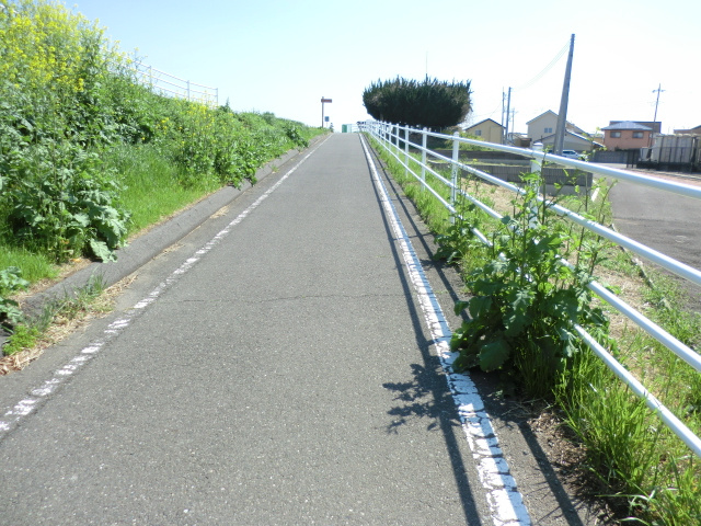 遊歩道