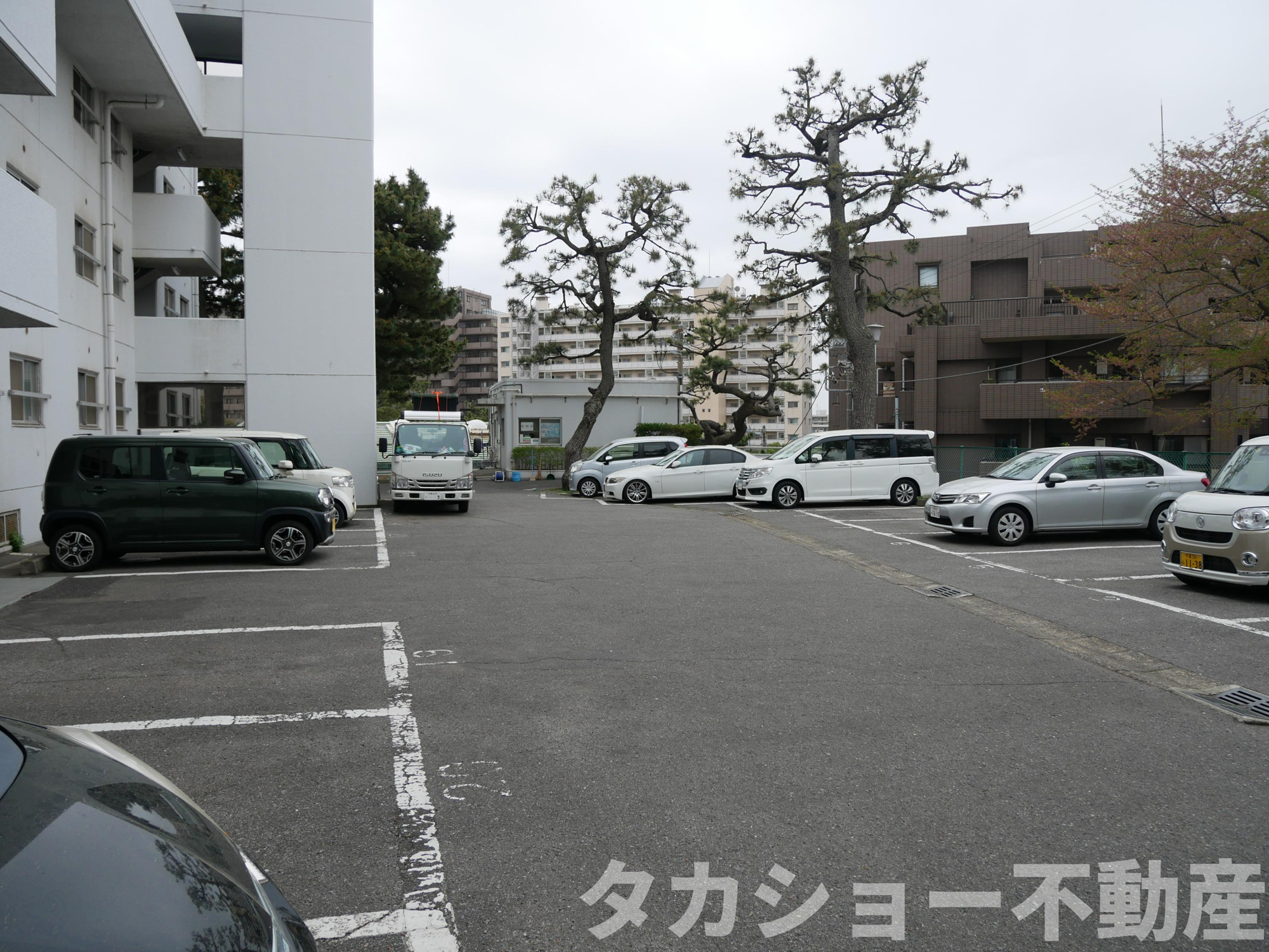 ドルフ稲毛の駐車場|駐車場です