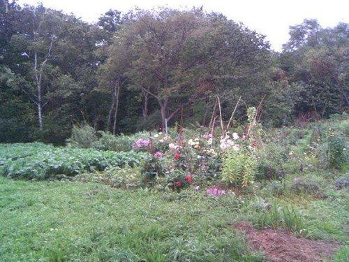 室蘭市本輪西町５丁目484-16　土地の土地図