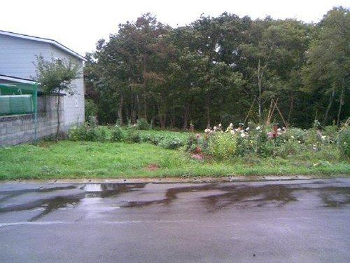 室蘭市本輪西町５丁目484-16　土地の土地図