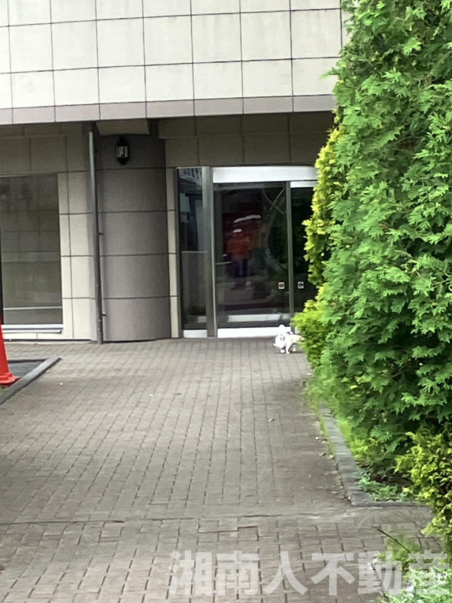 ダイアパレスワンダースケープのエントランス|落ち着いたエントランスです