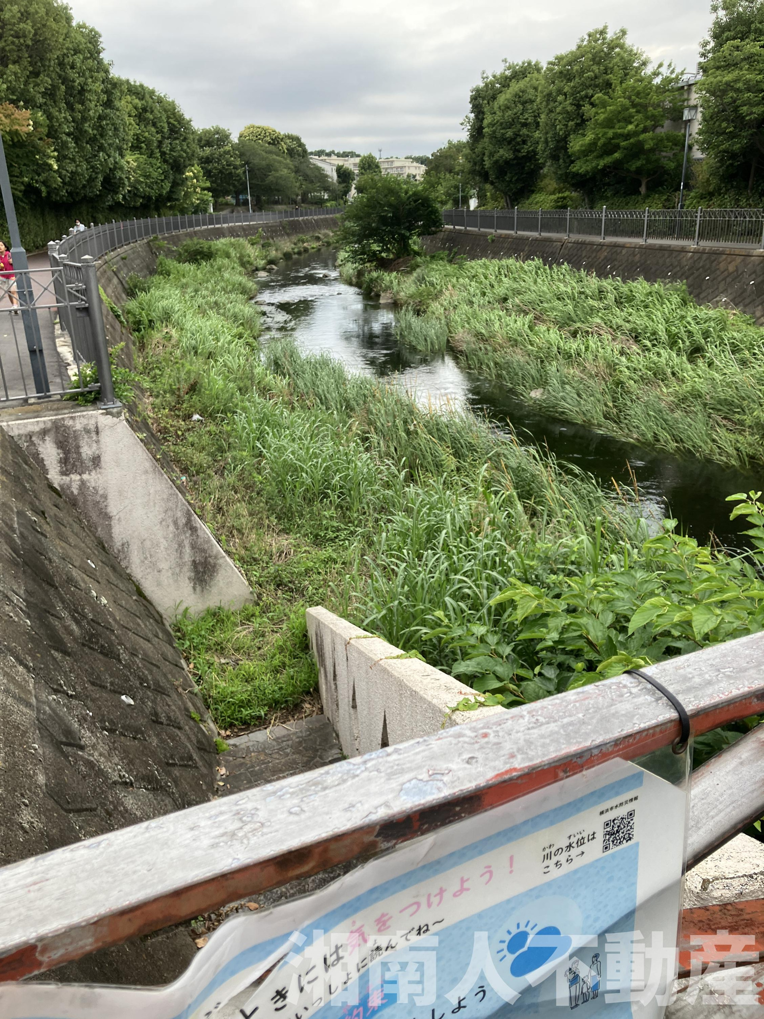 ニュー大船マンションの周辺