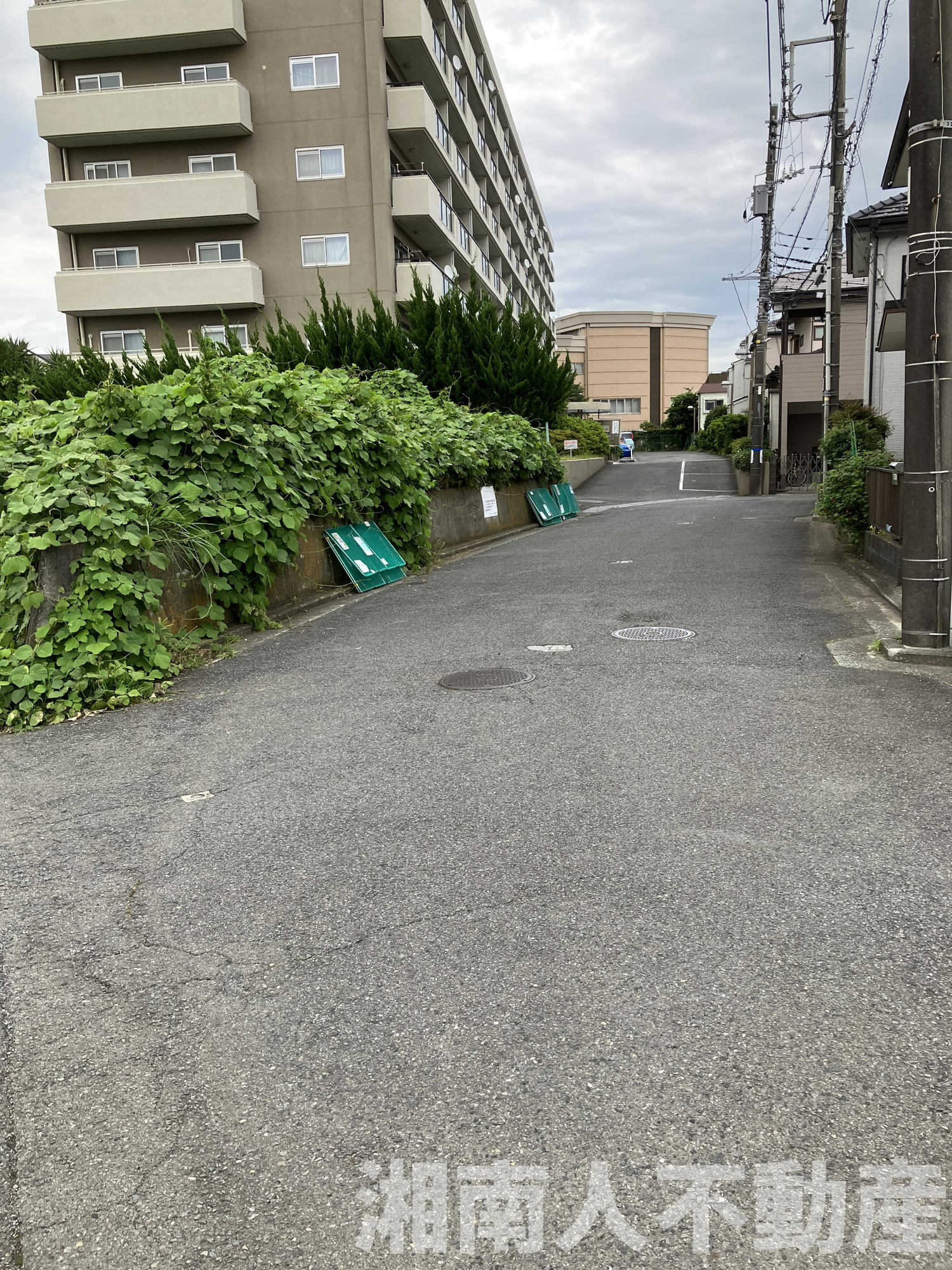 ニュー大船マンションの周辺