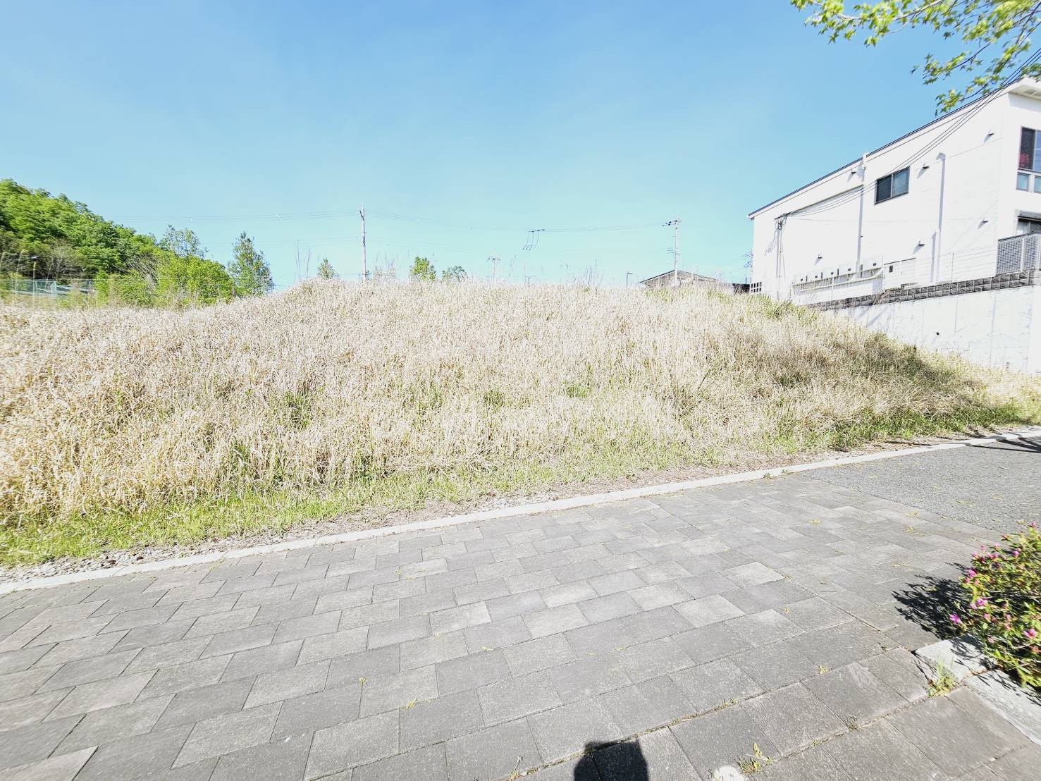 加東市南山土地②のその他|南西側道路より写真