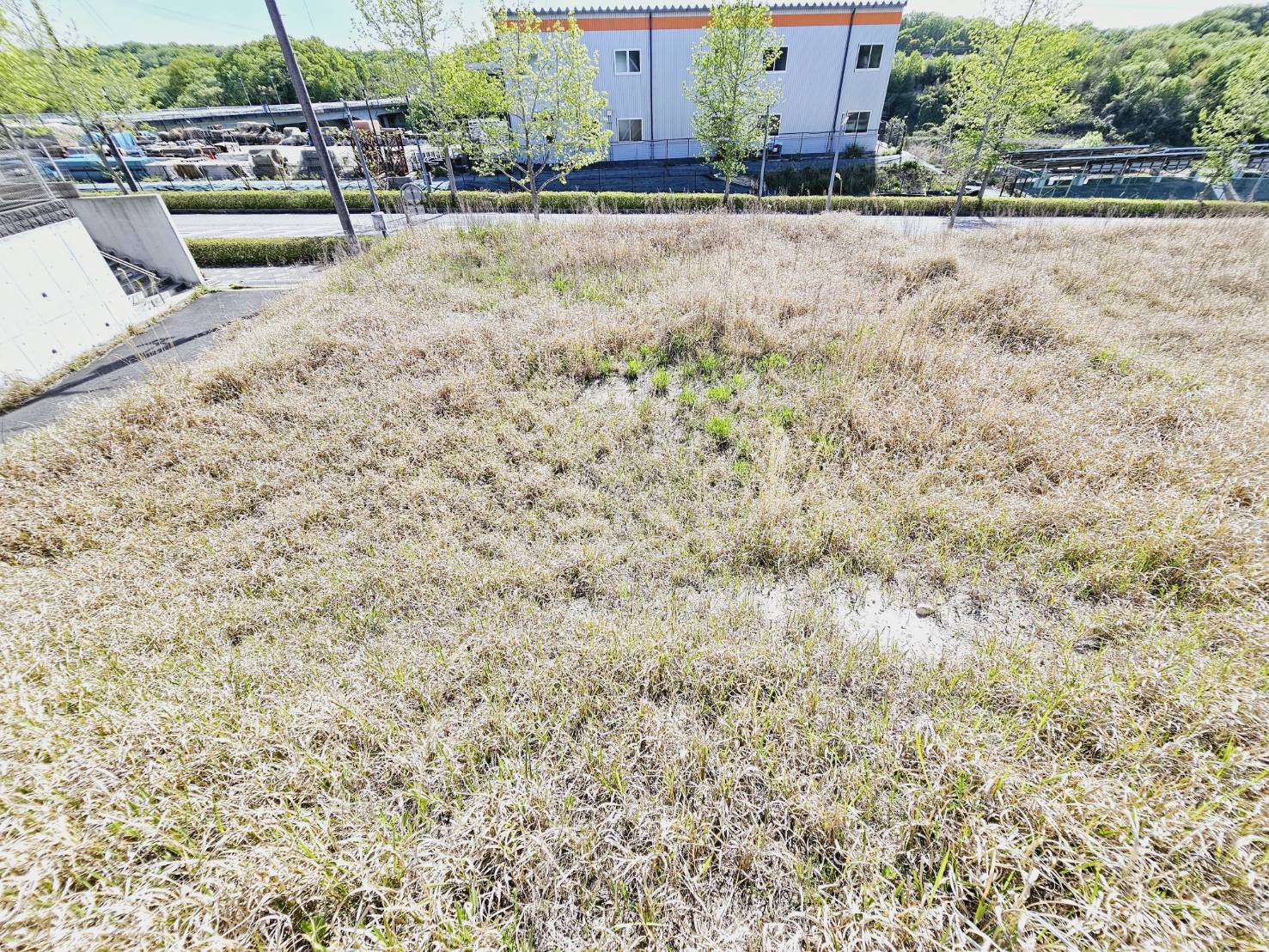 加東市南山土地②のその他|敷地内