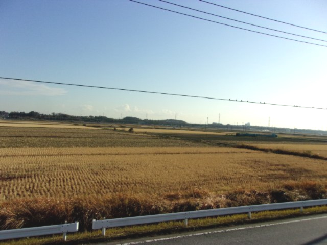 市原市五所　中古戸建の展望