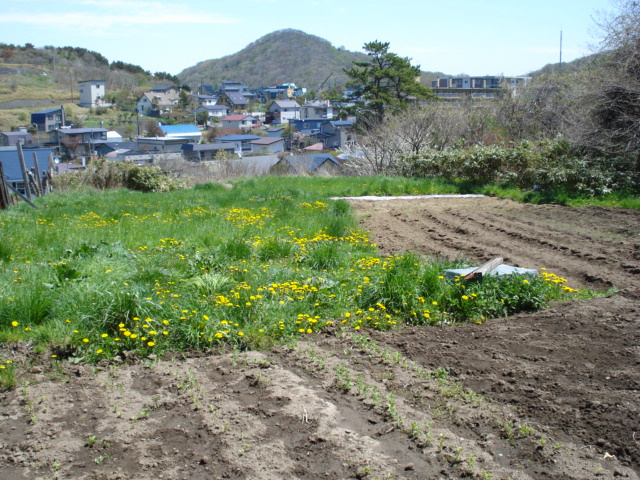 室蘭市絵鞆町２丁目17-3　土地の土地図