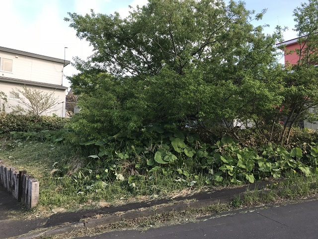 室蘭市八丁平1丁目37-2　土地の土地図