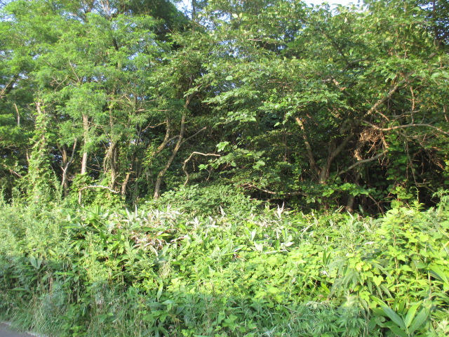 室蘭市柏木町417-685　土地の土地図