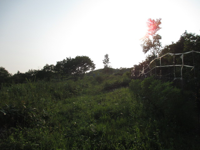 室蘭市柏木町418-176　土地の土地図