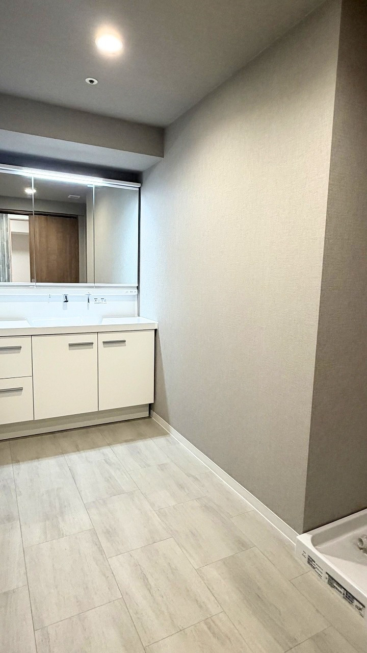 D’グラフォート長町の独立洗面台|広めのパウダールームです。