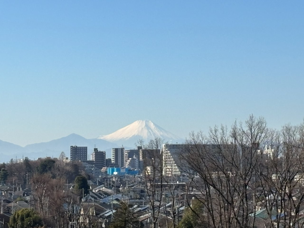 エレガンスステージ久米川の展望