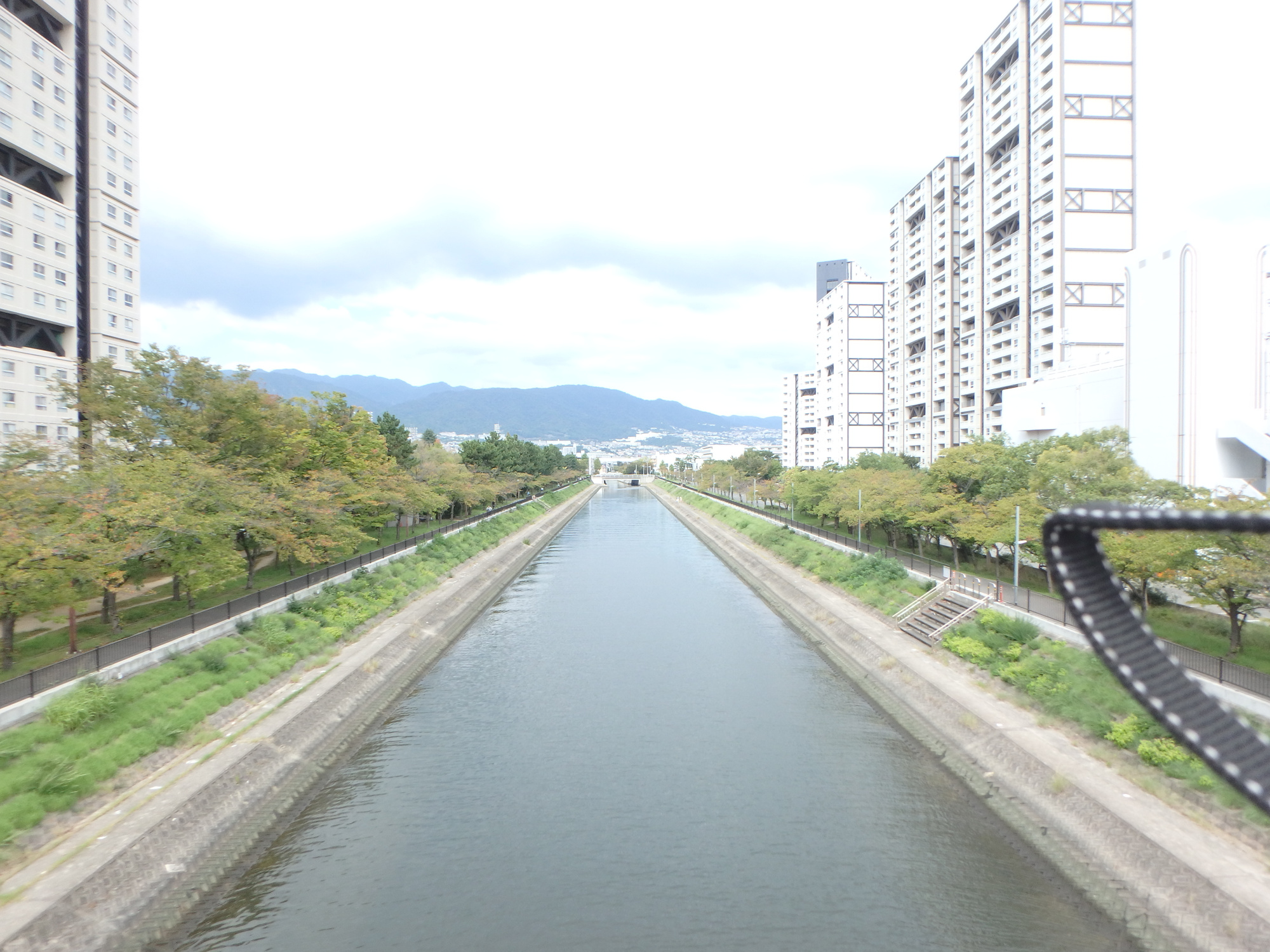 アステム芦屋Ａ棟のその他|芦屋川沿い遊歩道でお散歩を楽しめます。