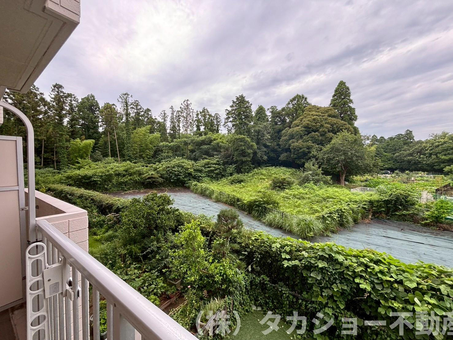ダイアパレス千葉青葉台　サウスアベニューの展望